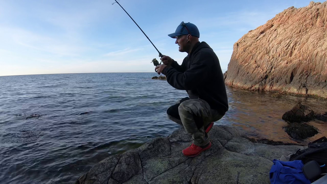 Mölle-havsöring