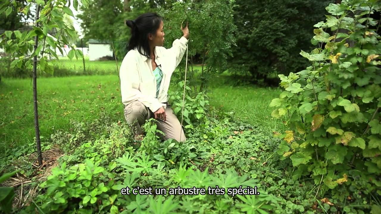 Concevoir son jardin et sa vie avec la permaculture (sous-titres français)