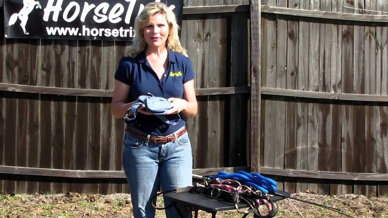 HorseTrix #1- Getting Started with Trick Horse Training