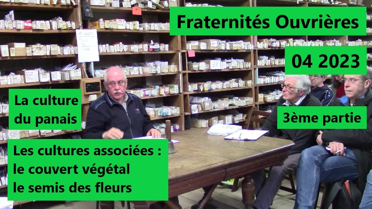 Fraternités Ouvrières - Cours 04 2023 partie 3 - La culture du panais - le couvert végétal et fleurs
