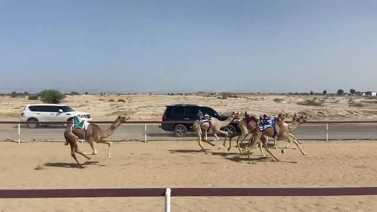 ٨ مارس، ٢٠٢٥