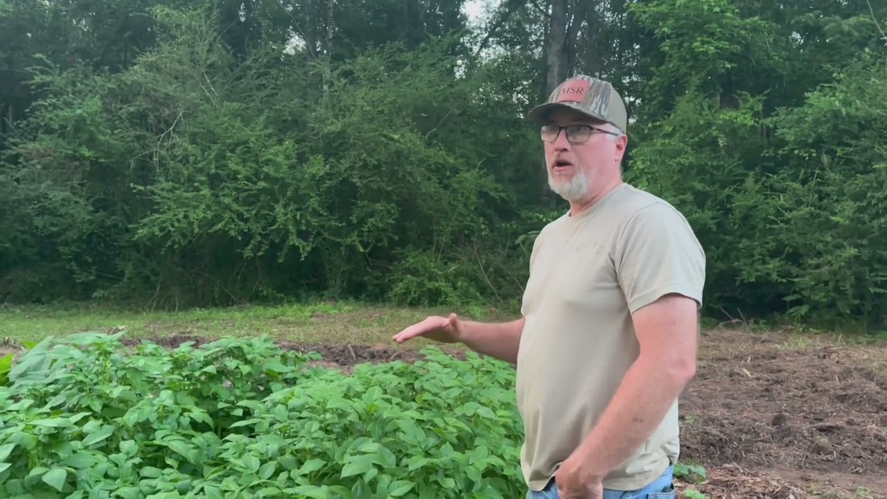May Garden Tour - My Mississippi Garden