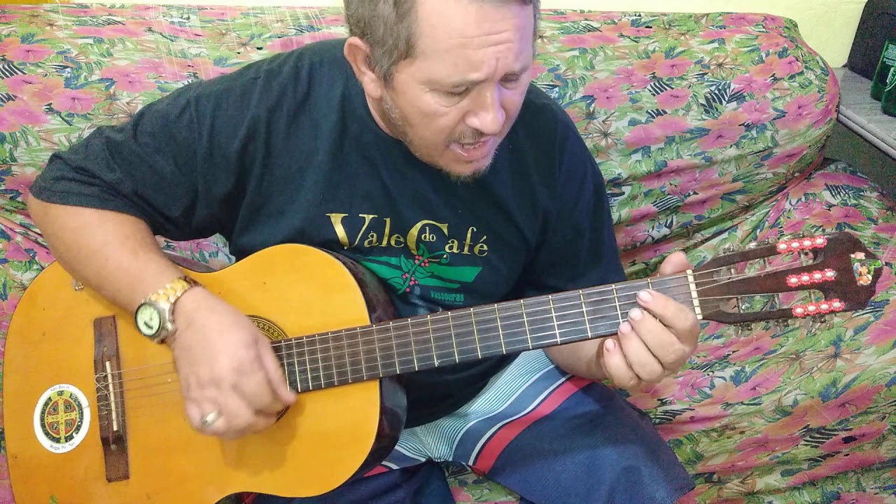 Deixa a vida me levar - Zeca pagodinho