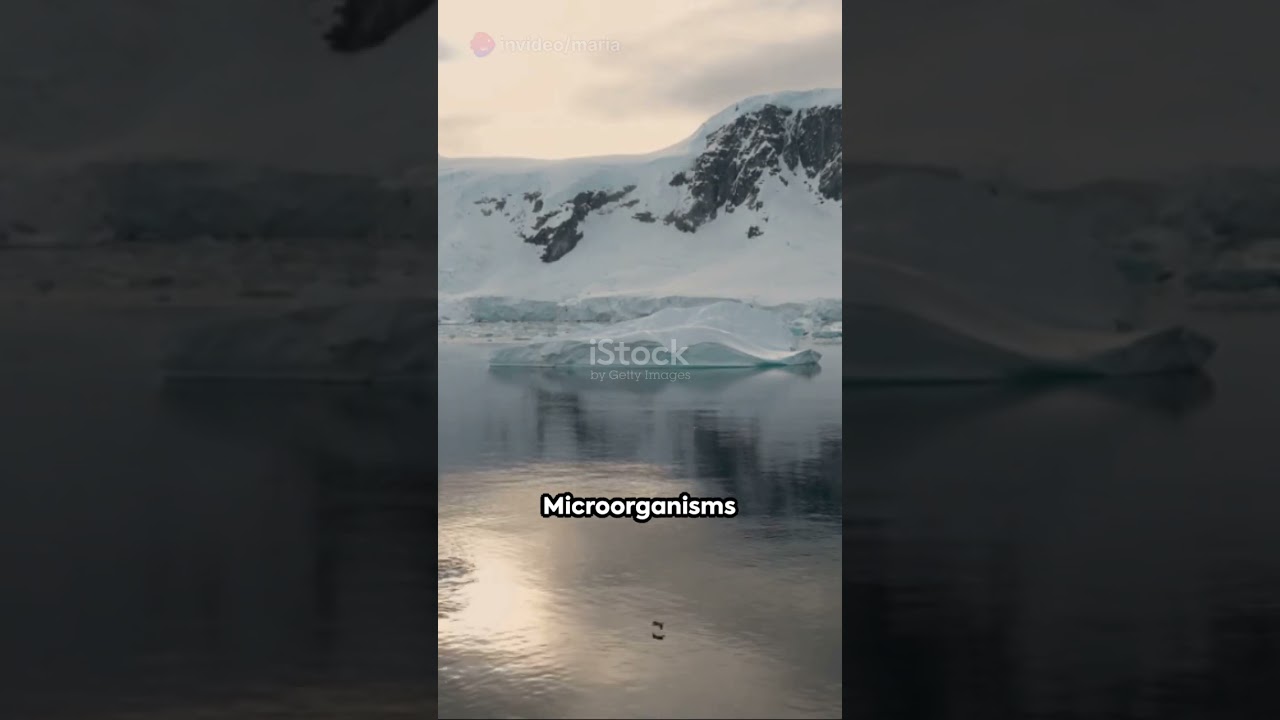 Unveiling Antarctica: Earth's Coldest Frontier ❄️ #FrozenWonders