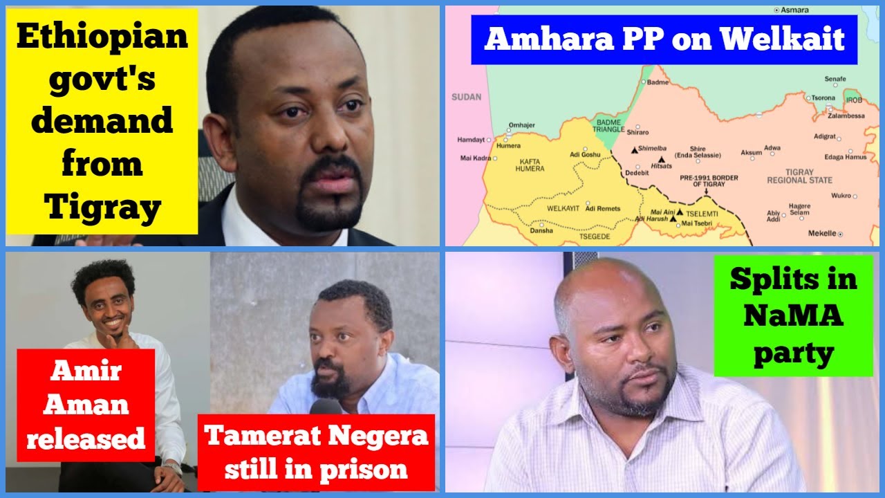 Ethiopian govt's demand from Tigray | Welkait Amhara PP | Amir Aman released | Splits in NaMA