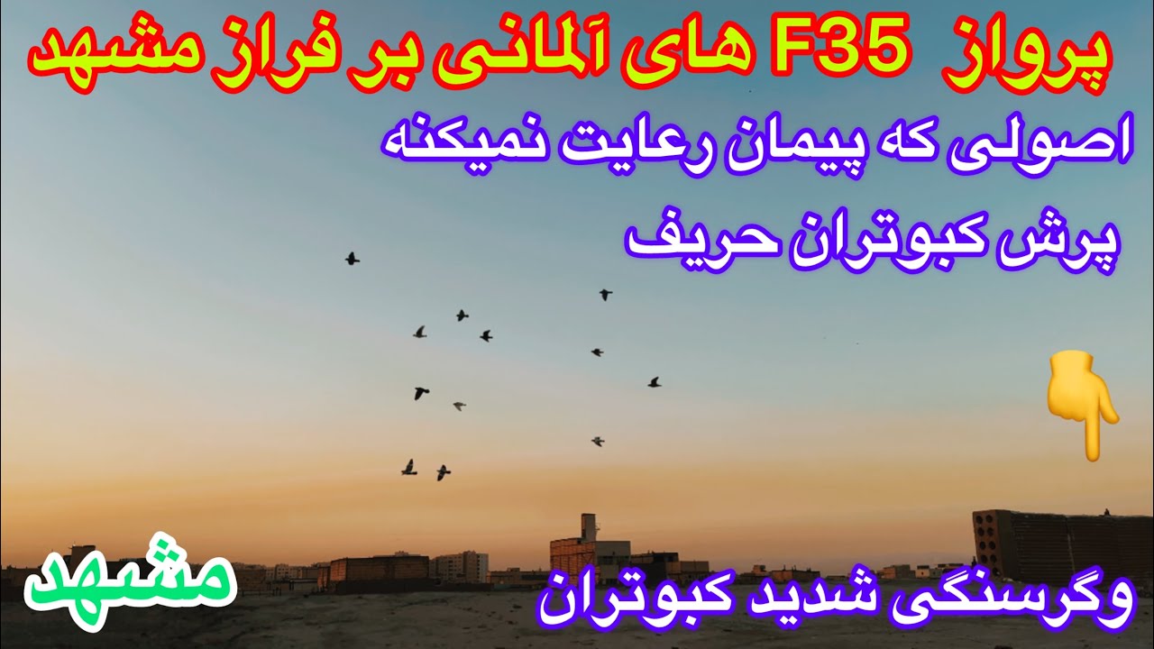 (قسمت۱۸۸)پرش کبوتران آلمانی حریف مهدی واصول دون دادن٫کبوتران مسافتی٫پلاکی٫رنگه مشهد!چاشنی بازی ایران