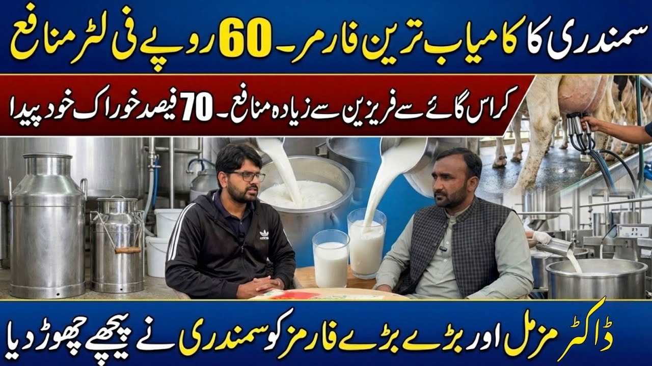 Most successful samundari farmer interview II 40 % plus profit in dairy farming II Dr. MUZZAMMIL 