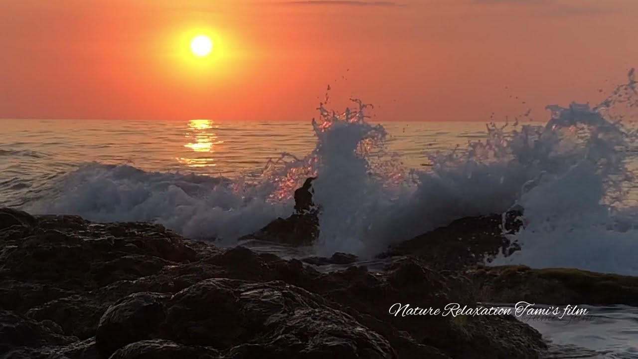HDR Golden hour view, relaxation music, nature sounds #Goldenhour #nature #sun #cinematic