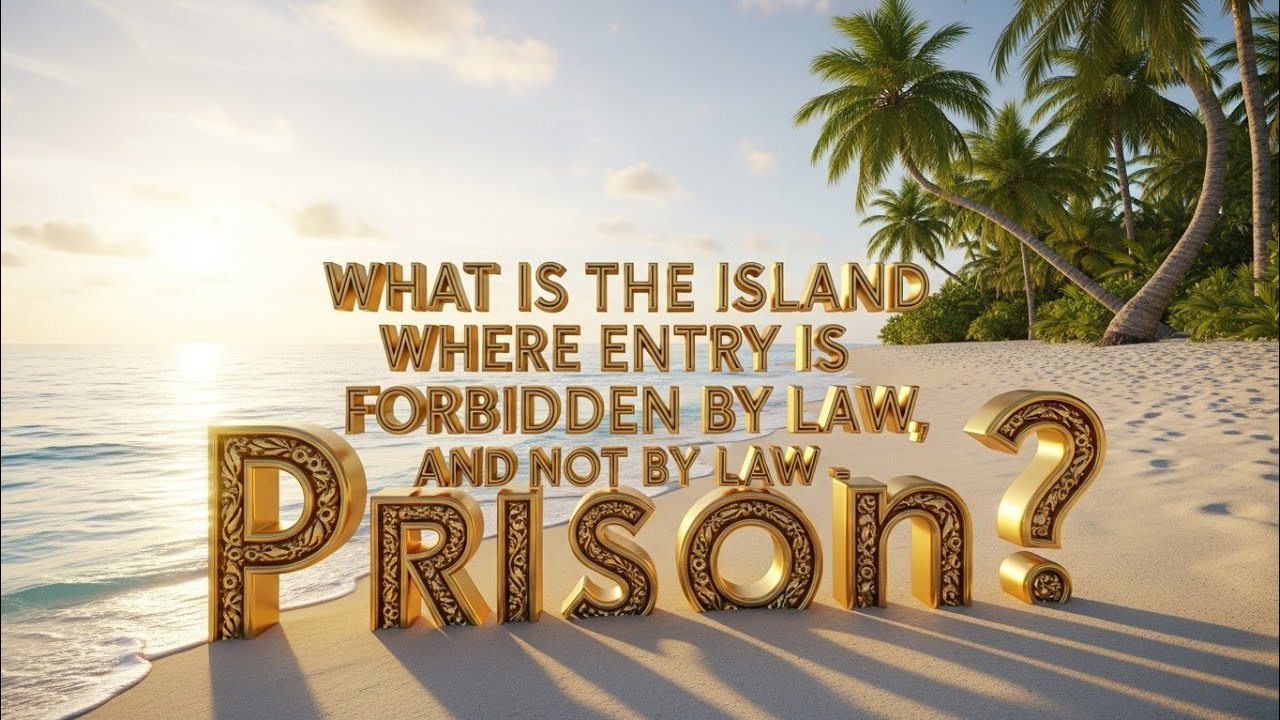 The Island Where It Is Forbidden to Live. The truth about Snake Island in Brazil. #keymadagrandi.