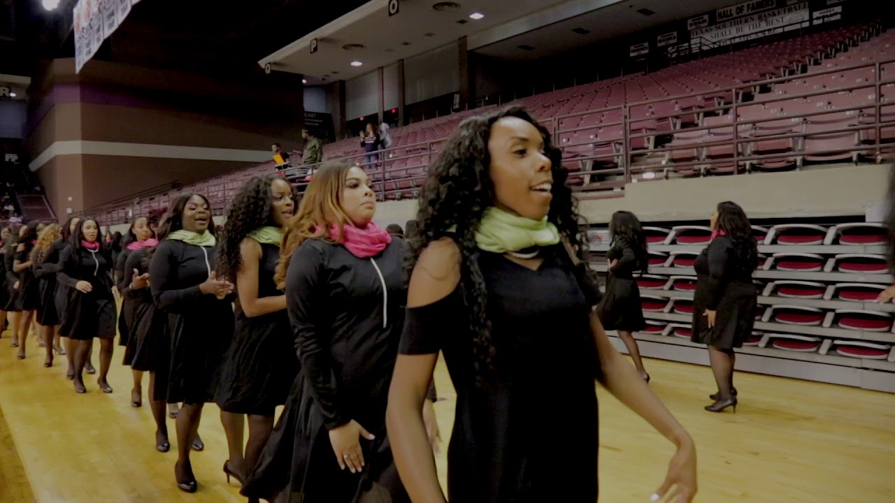 Texas Southern University Gamma Psi Chapter of Alpha Kappa Alpha Sorority  INC. Spring 18' Probate