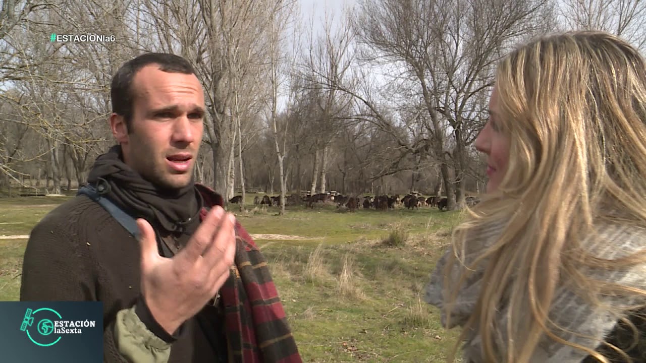REPORTAJE CABRAS GUADARRAMEÑAS LA SEXTA