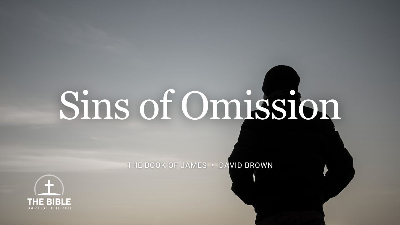 Sins of Omission | David Brown
