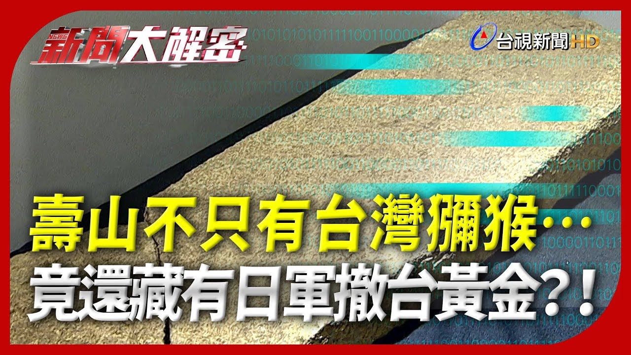 新聞大解密【壽山不只有台灣獼猴…竟還藏有日軍撤台黃金？！】