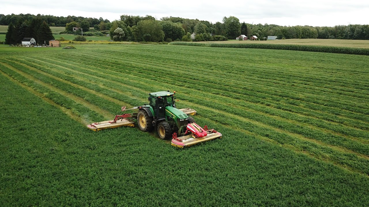 3rd cutting Alfalfa 2019