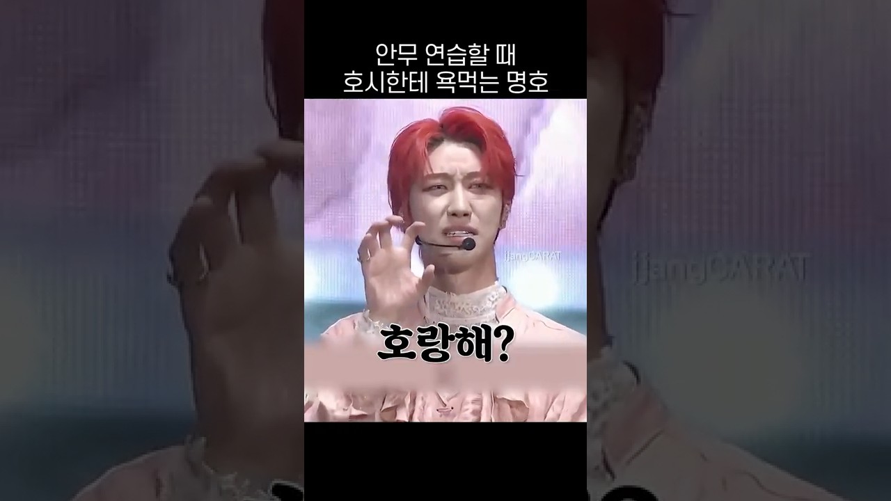 [세븐틴] 호시한테 쌓인게 많은 듯한 명호 ㅋㅋ