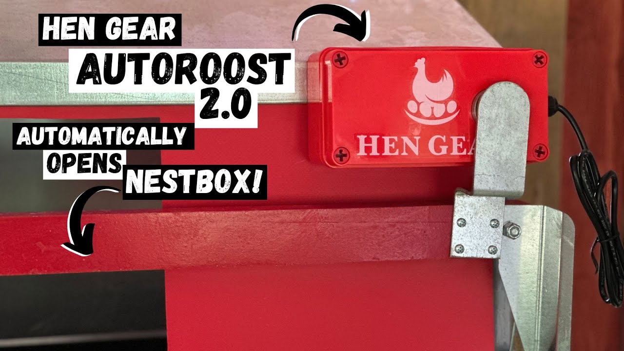 Quick look at the Hen Gear AutoRoost 2.0
