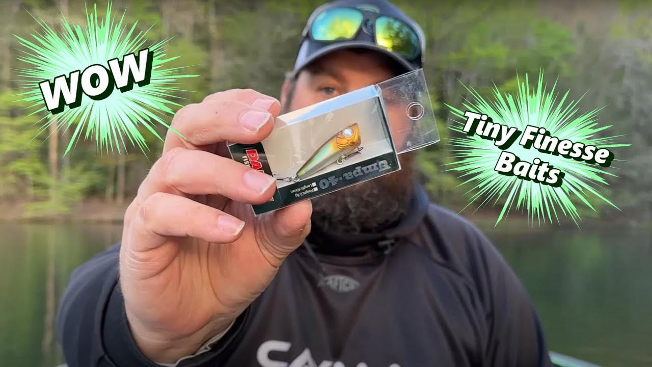 NEW BFS Baits - Bait Finesse System