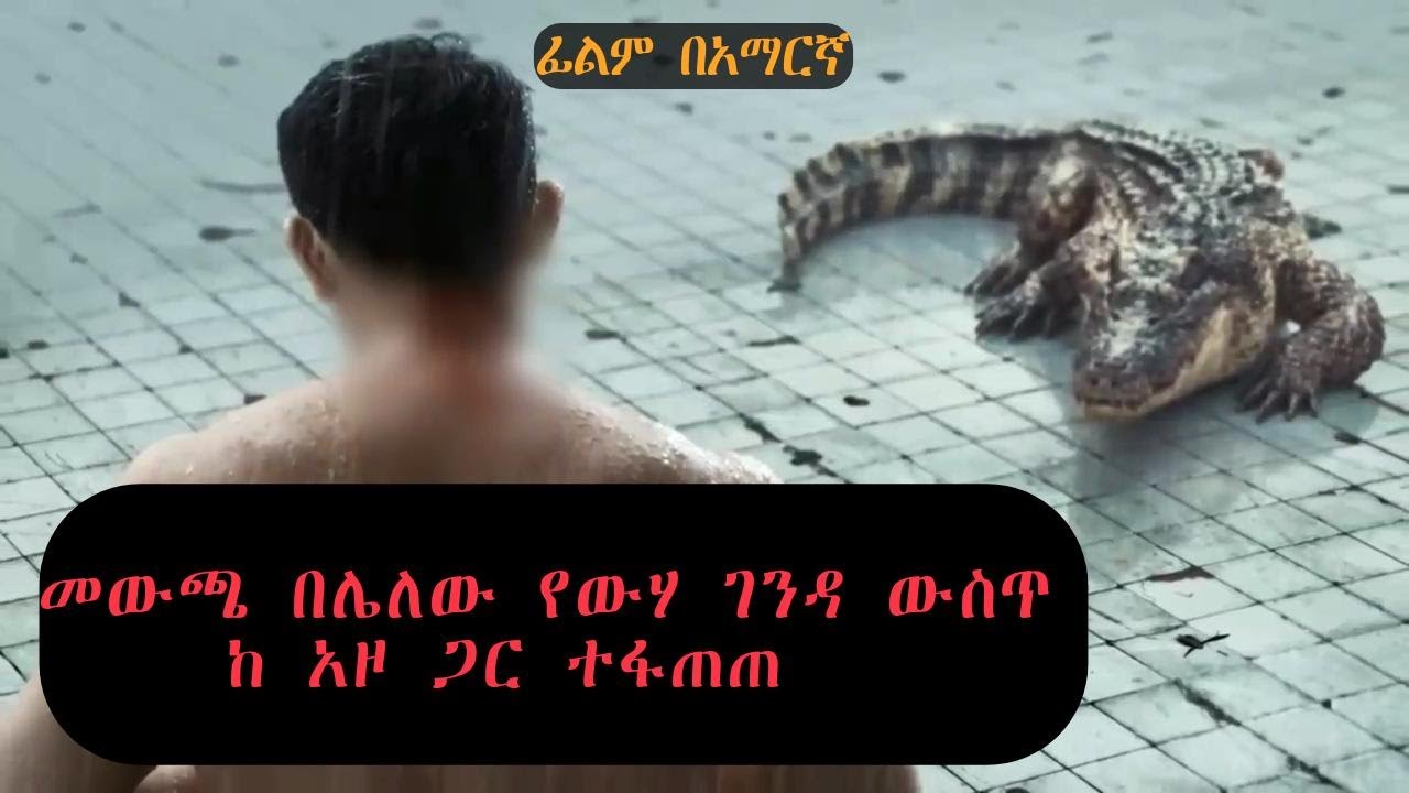 መውጫ በሌለው የውሃ ገንዳ ውስጥ ከግዙፍ አዞ ጋር ተፋጠጡ...
