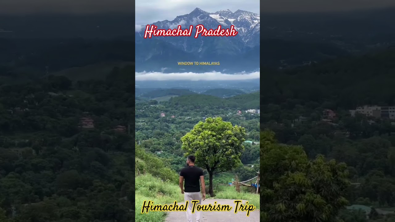 Himachal Pradesh #nature #green #himachal #himalayas #pahadi #pahadilifestyle #viralshort #good #100