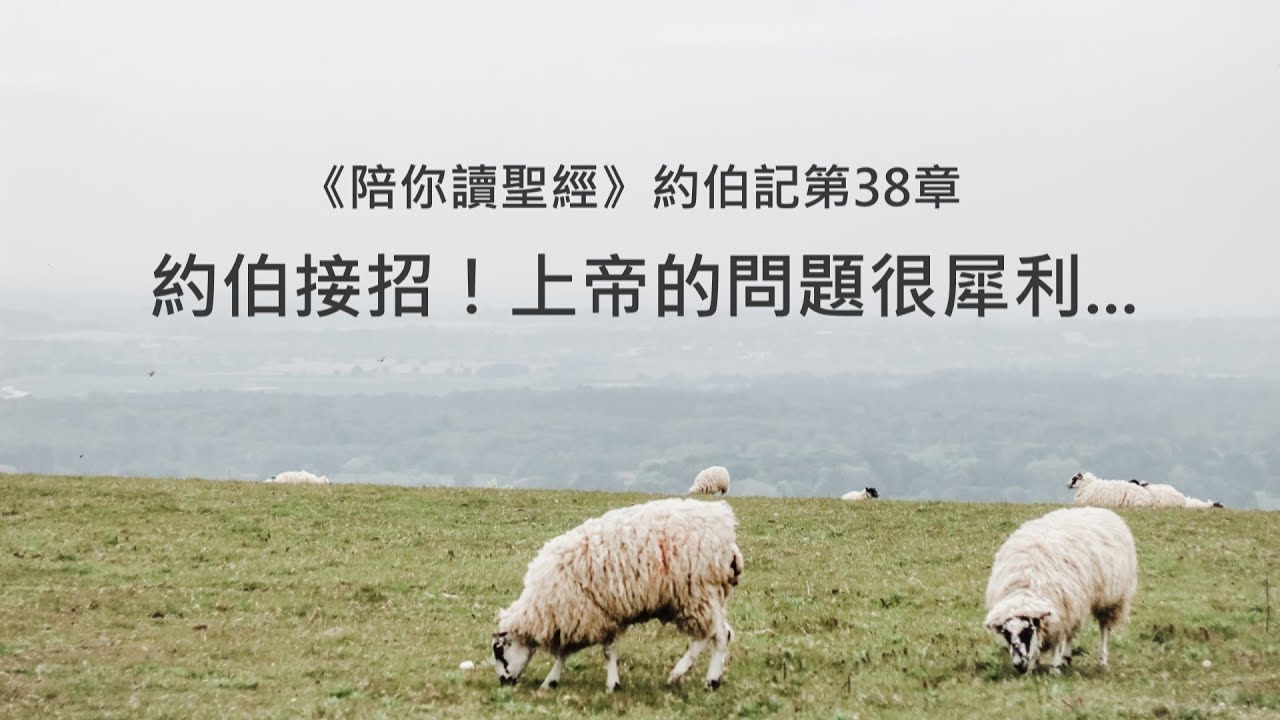 約伯記38章/陪你讀聖經《約伯接招！上帝的問題很犀利...》