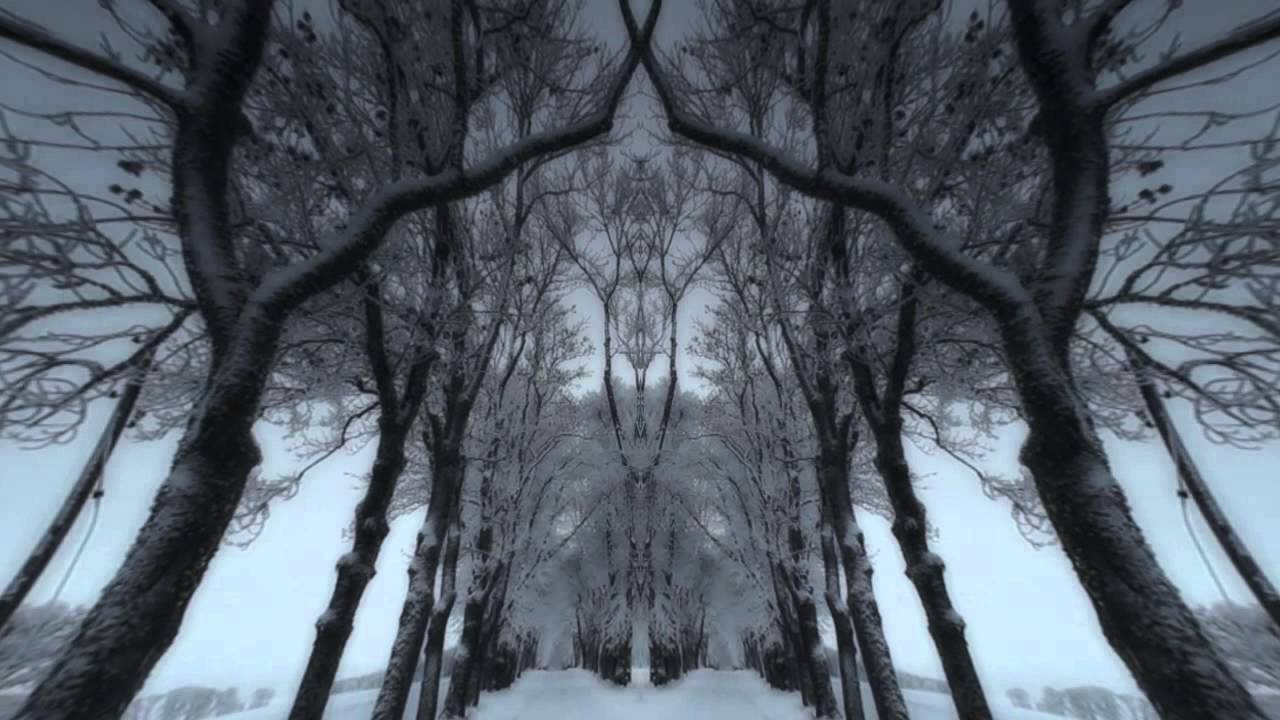 Orkidea - Unity (Mindwave Remix)