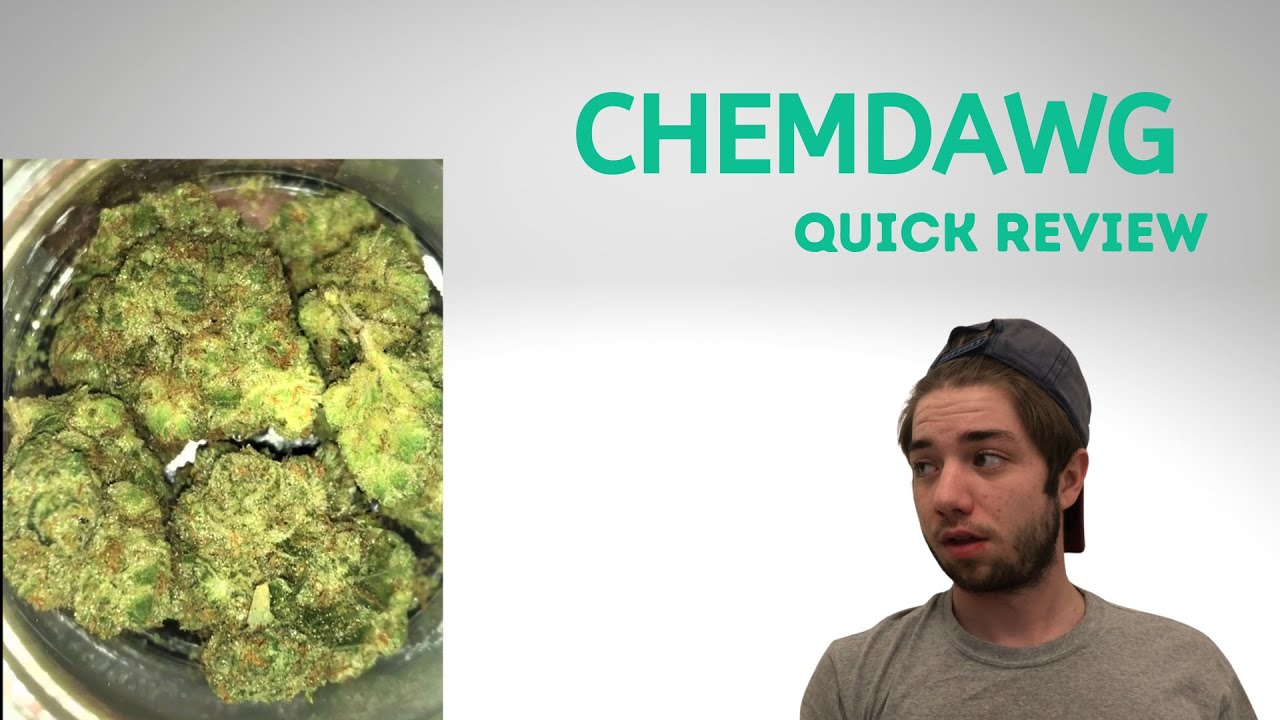 CHEMDAWG ! SOUR DIESEL X OG KUSH ! SMELL THIS FROM A MILE AWAY! SATIVA ! STRAIN REVIEW