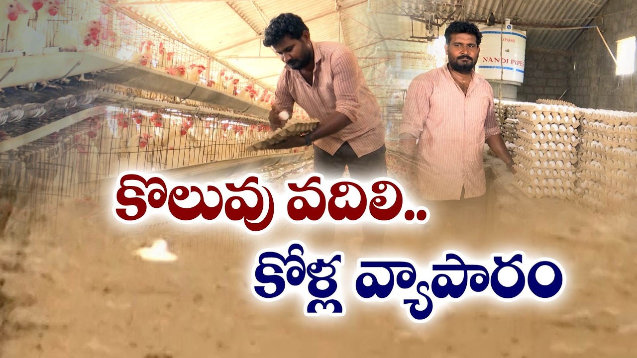 వైట్ కాలర్ జాబ్ వదిలి.. పౌల్ట్రీ ఫామ్ యజమానిగా..! రమణారెడ్డి సక్సెస్ స్టోరీ