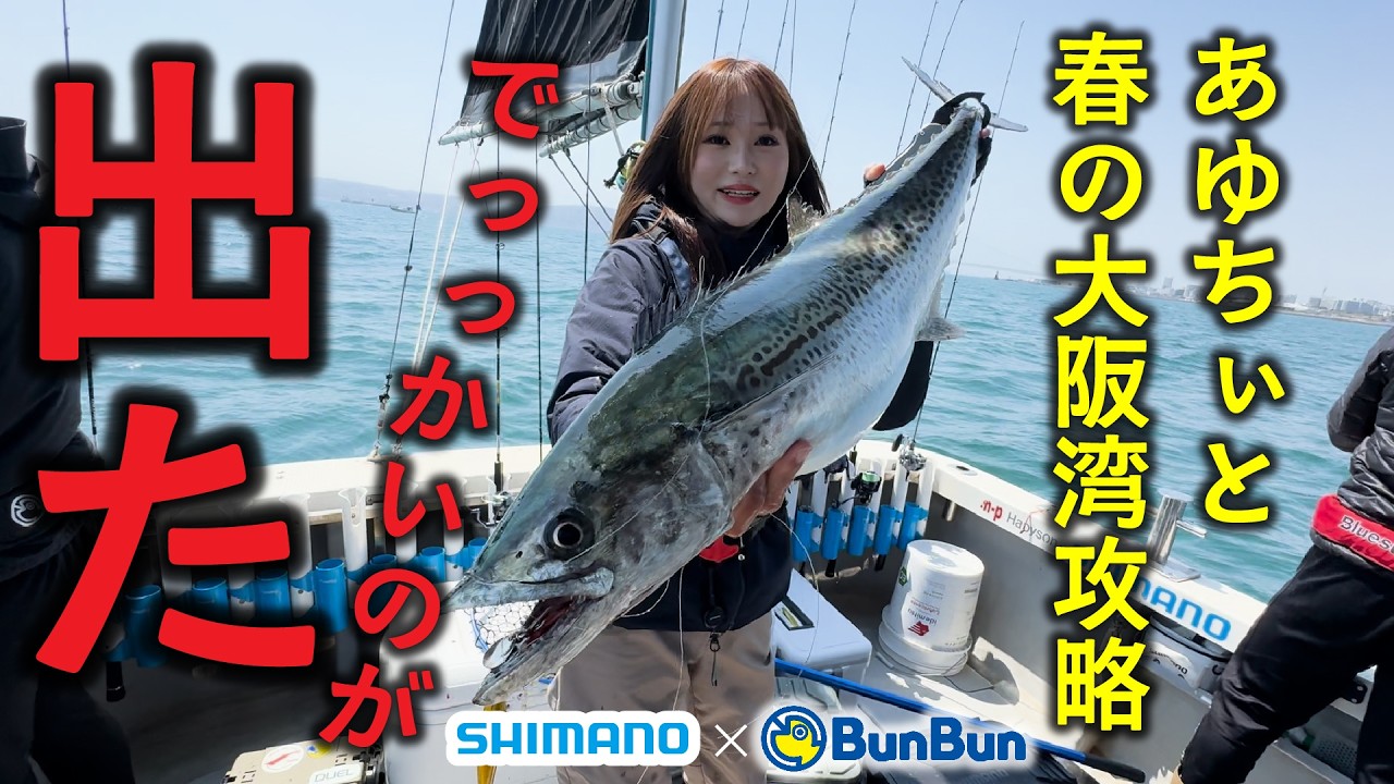 あゆちぃがブレードジギングで巨大サワラを仕留める‼【シマノ×ブンブン】