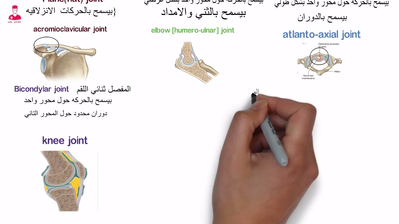 أنواع المفاصل الزلاليه || types of synovial joints