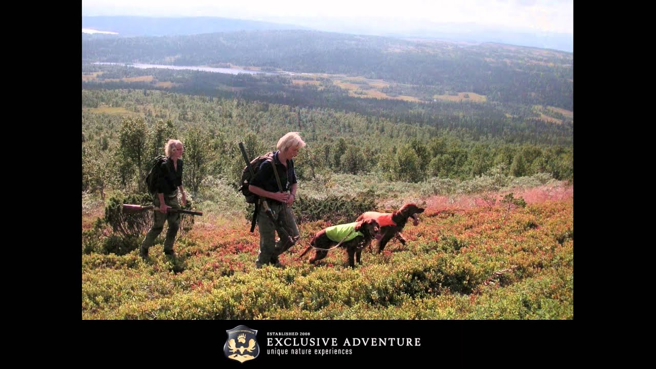 Wildlife adventure with Exclusive adventure, Jon Henrik Fjällgren sings