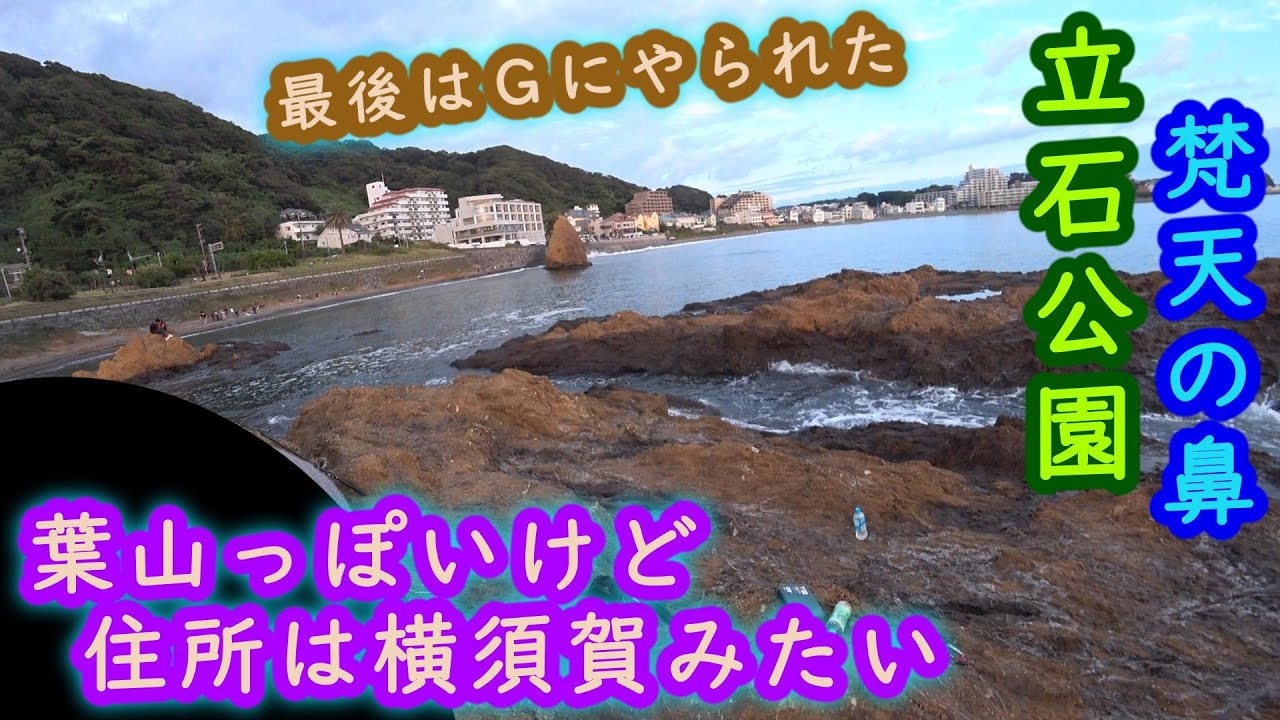 【梵天の鼻】葉山っぽいけど横須賀市にある意外と初見の磯【2025年9月下旬】