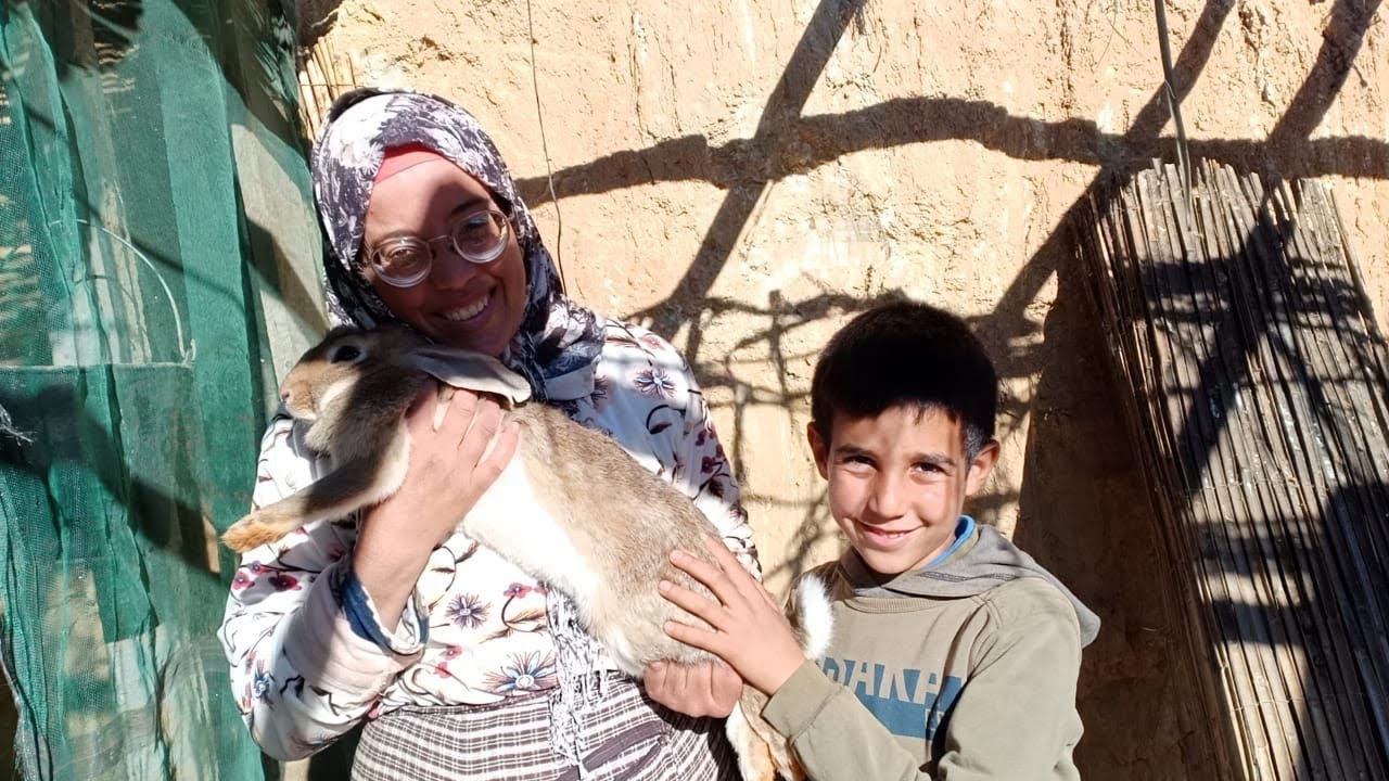 تربية الارانب والدجاج فين وصلات القنية لي شدات سميرة وكانت ناوية تاكلها فالدار شحال الحصيلة دالبيض