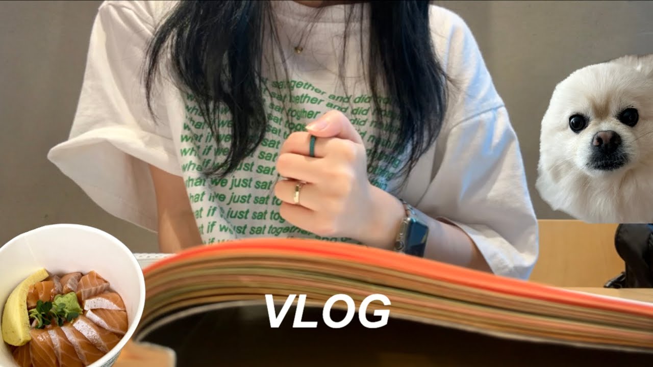 •VLOG• 공시생 브이로그 | 집공러의 스카 찍먹하기 | 기화펜, 왕큰 형광펜 구매기 | 카페알바, 크로플 중독