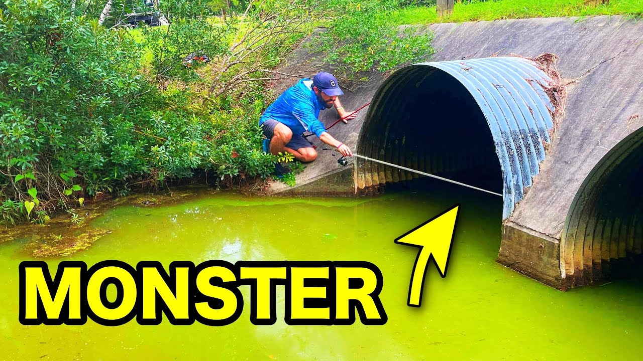URBAN FLOOD FISHING for MONSTER FISH!!