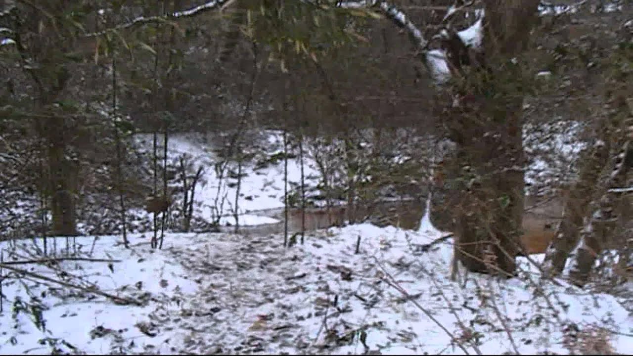 Snowcalypse 2014 Marietta, Ga.