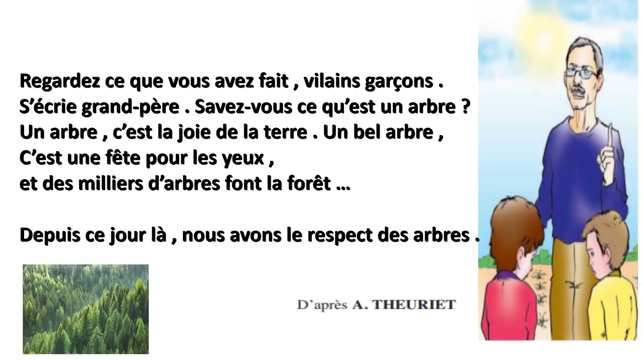 Le respect des arbres ( 5ème )