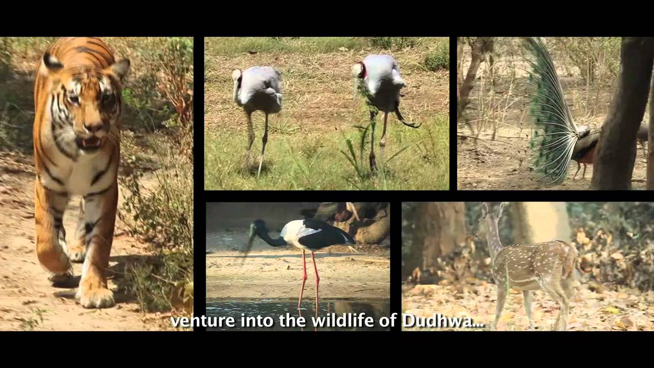 Uttar Pradesh Tourism Ad