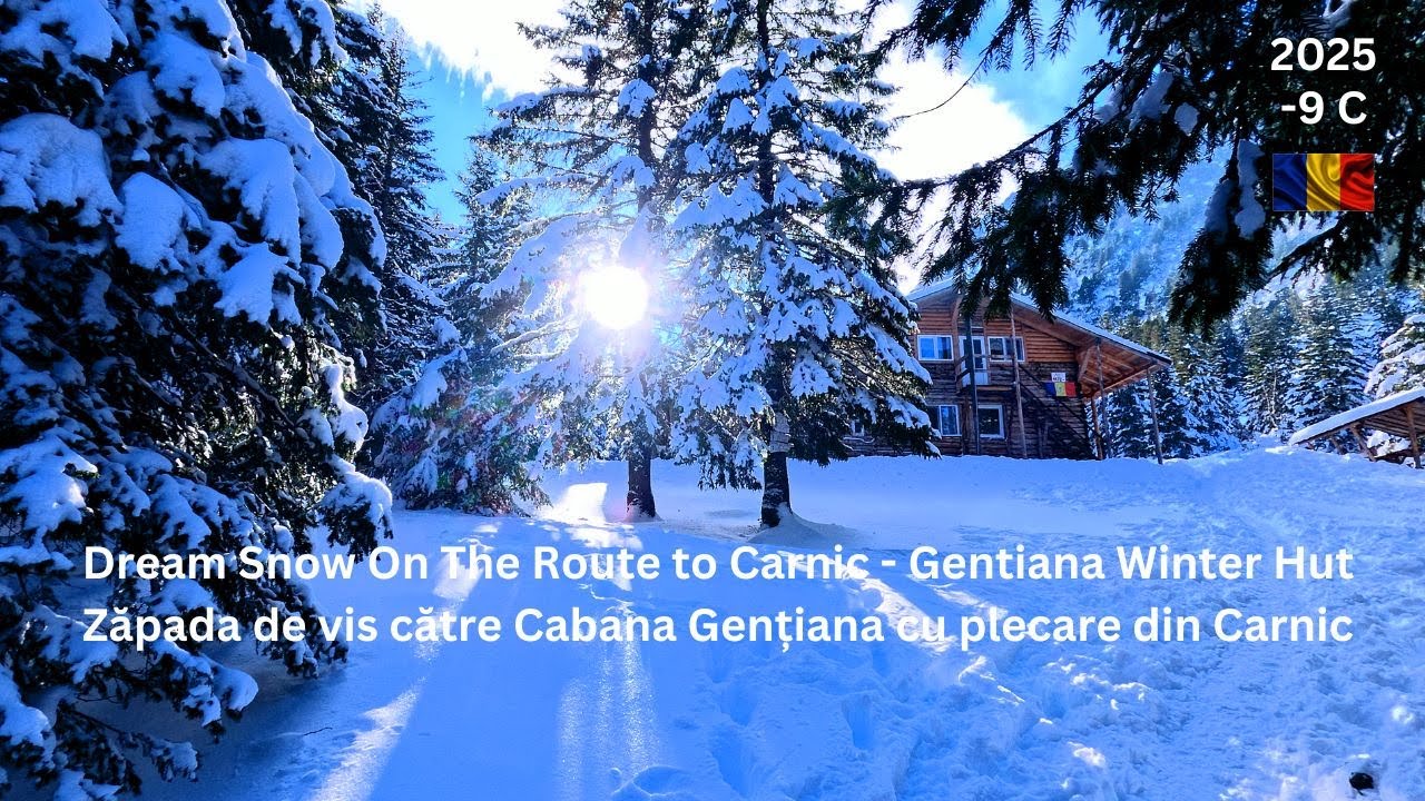 CABANA GENTIANA