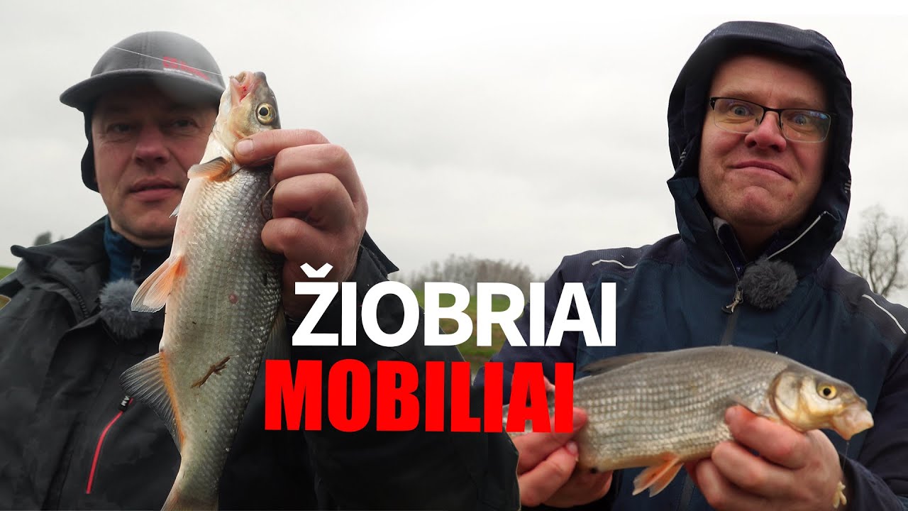 mobilioji žiobrių žūklė