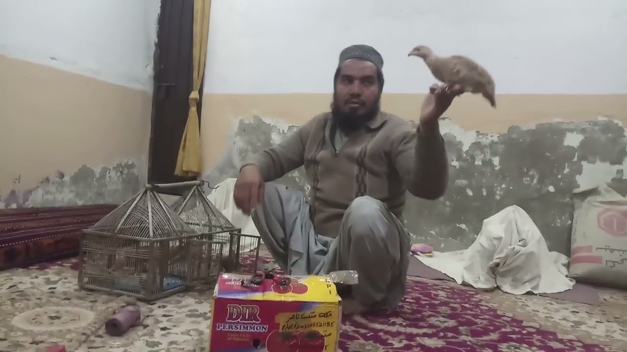 ماشااللہ 》 ہمارا کار گو کرنے ترتیب چیک کریں
