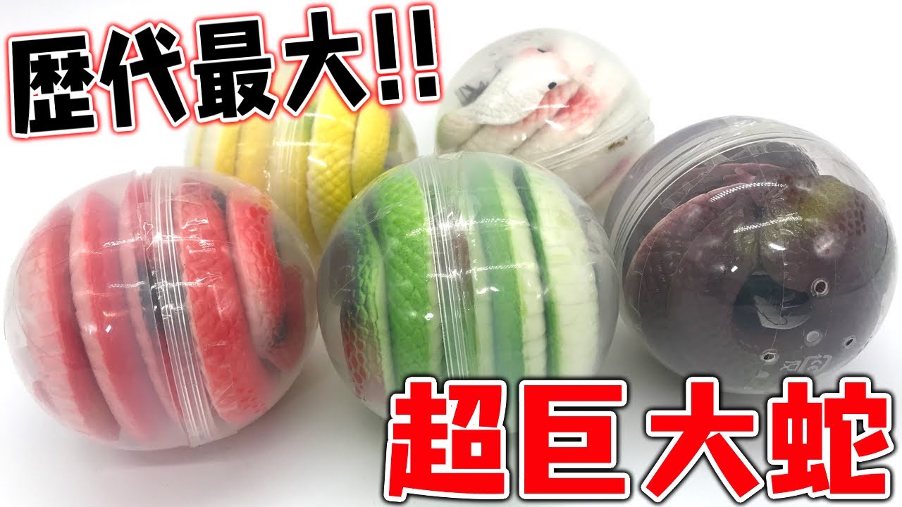 歴代最大！超絶にでかい蛇ガチャガチャ！全5種 開封レビュー