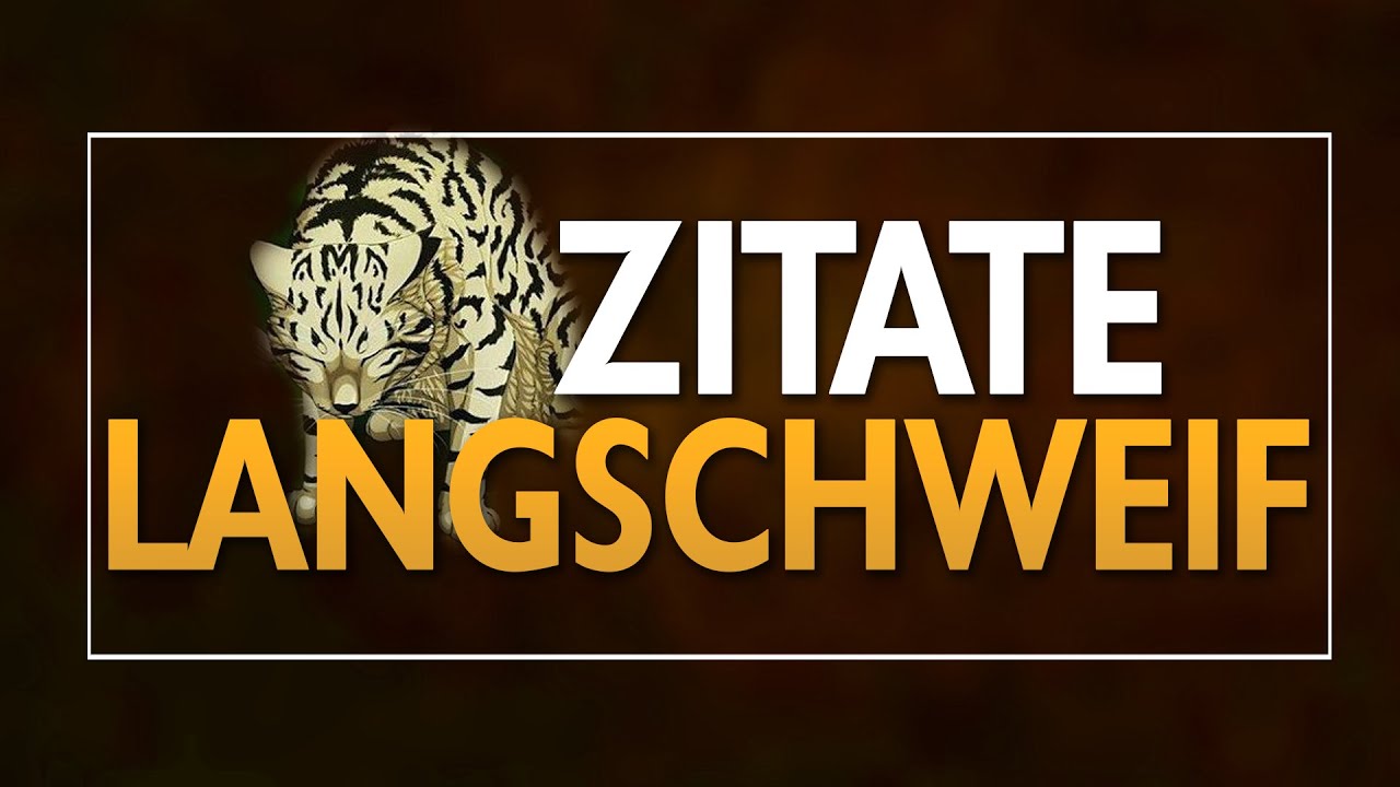 GROSSE KLAPPE, NICHTS DAHINTER!- 9 Zitate von Langschweif | Warrior Cats Zitate