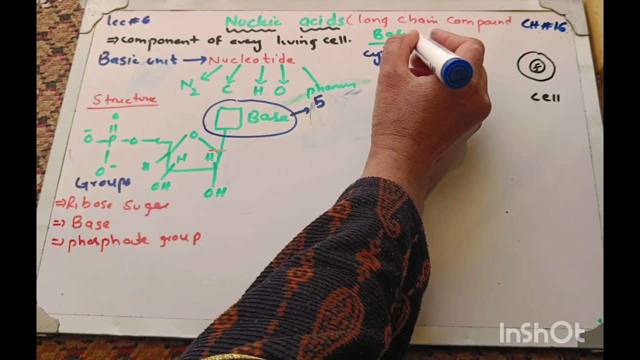 Nucleic acid/Nucleotideand it's types/lec#6 #chemistry #biochemistry #9thchemistry 