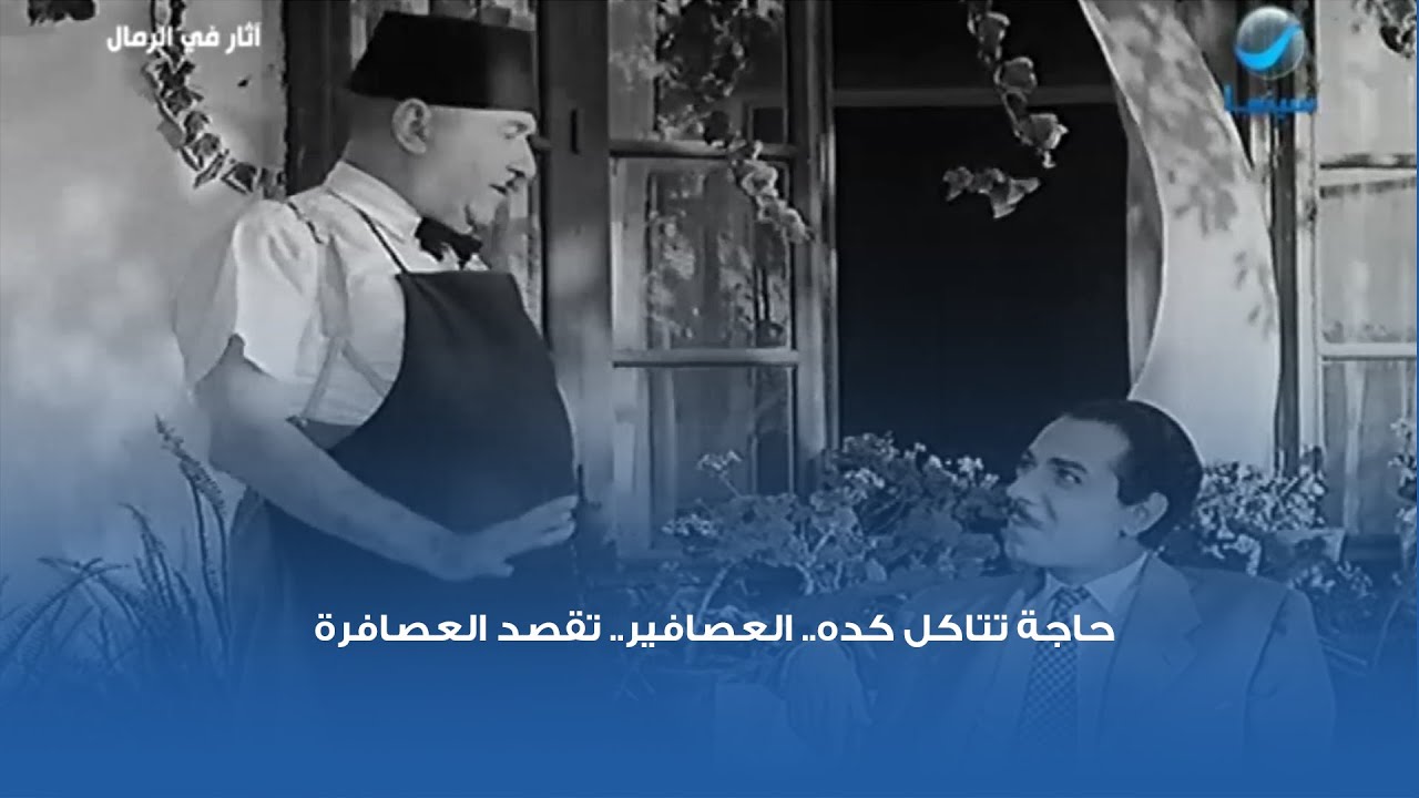 حاجة تتاكل كده.. العصافير.. تقصد العصافرة 😅