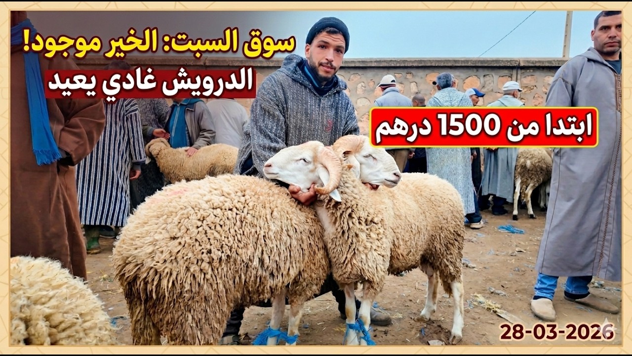 سوق السبت: الحولي ابتدا من  1500 درهم؟ الخير موجود والدرويش غادي يعيد هاد العام! 🐑🔥
