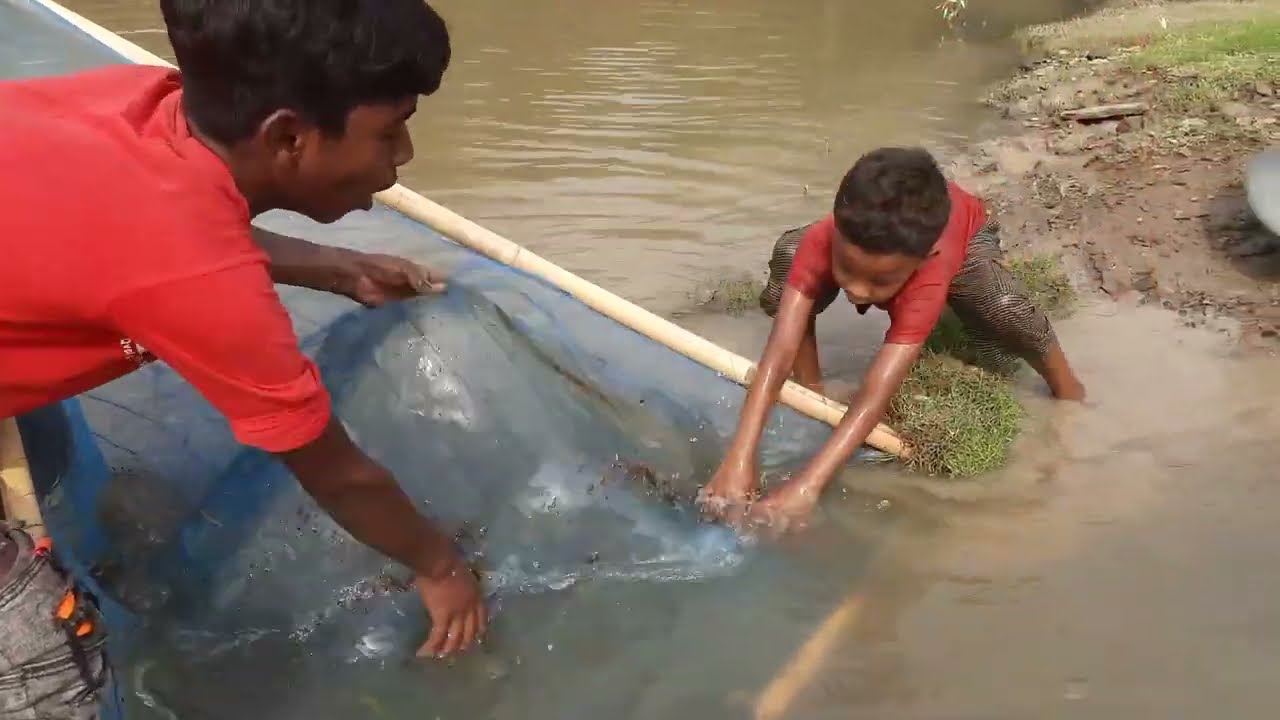 Amazing net fishing video | Boys Net Fishing at the small village River with beautiful natural