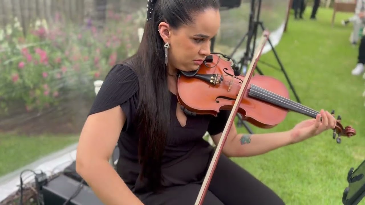 Wave - Teclado e violino Instrumental Rancho Mustang 