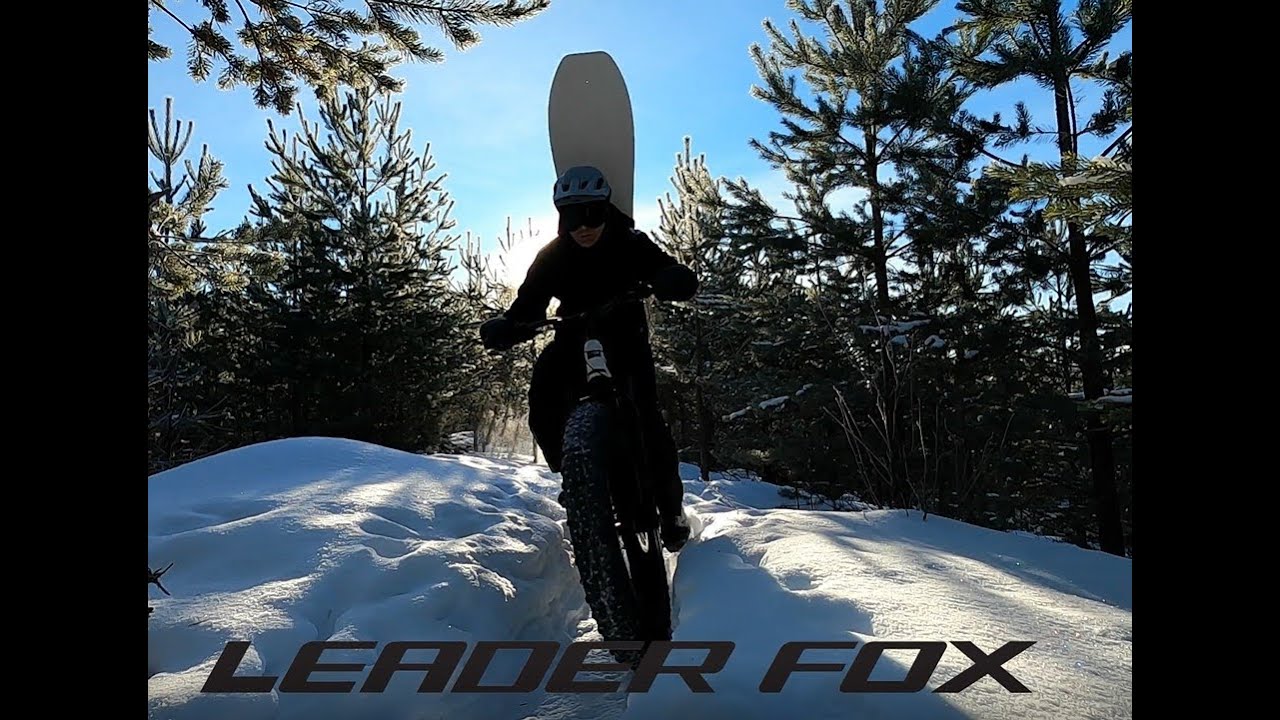 Leader Fox Brasa