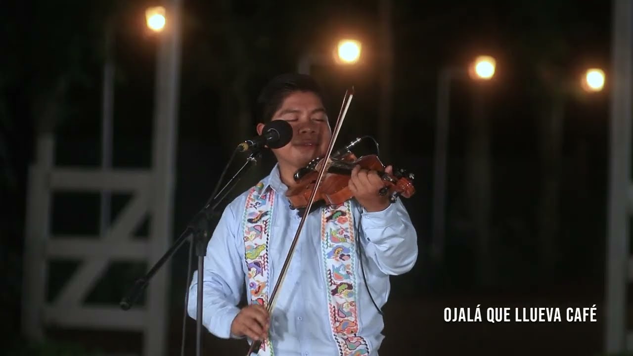 Ojalá que llueva café   Trio Aurora Hidalguense (Sesión En Vivo)