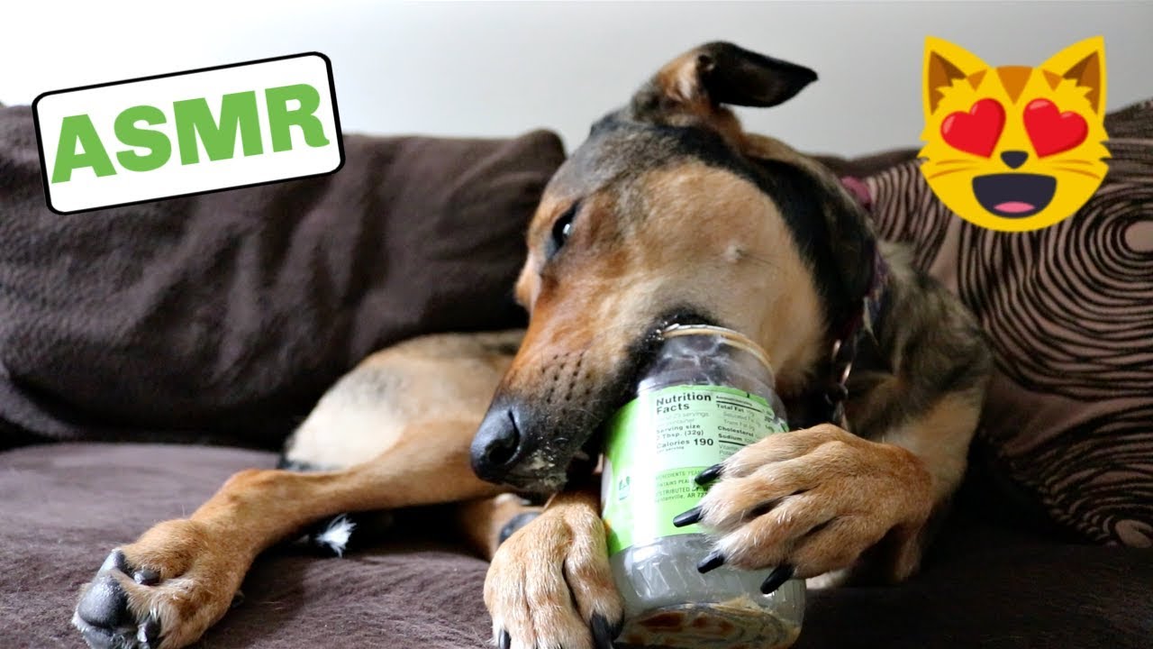 ASMR || Licking an Empty Peanut Butter Jar **RELAXING**